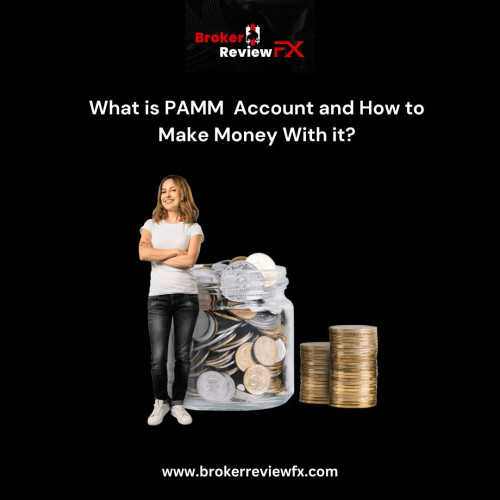 PAMM accounts (Percentage Allocation Management Module) are popular among Forex investors who want to avoid the pressure of trading currencies themselves. There are also passive income options, investing in PAMM accounts being one of them. In this article, you will learn about the Best PAMM Brokers according to Broker Reviewfx .