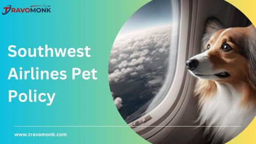 Southwest Airlines realises how critical it is to ensure the safety and well-being of pets during their flights. With Southwest Airlines pet policy cargo flying, you can rest assured that your pet will be treated with respect. Travomonk may provide a more in-depth description of Southwest Airlines' cargo pet policy, including guidelines, limits, and required documentation.

Read more: https://www.travomonk.com/pet-policy/southwest-airlines-pet-policy/