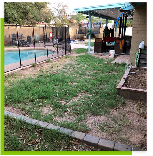 Always Green Turf AZ;204 S Mesa Dr, Mesa, AZ 85210;(480) 530-5476;https://www.alwaysgreenturfaz.com