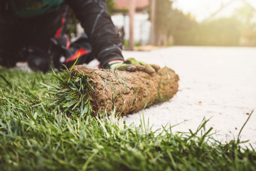 Always Green Turf AZ;204 S Mesa Dr, Mesa, AZ 85210;(480) 530-5476;https://www.alwaysgreenturfaz.com