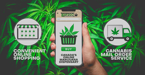Our mission is to grant access to high-grade medical marijuana to anyone of legal age in Canada. We strongly believe everyone should have easy and long-term access to their medication.

https://www.leaf2go.ca/