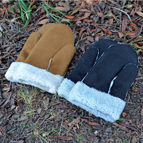 CB11MITTENS