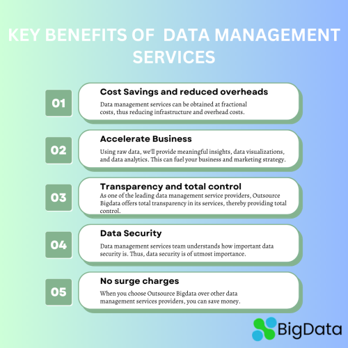 Key Benefits Of Data Management Services (1)