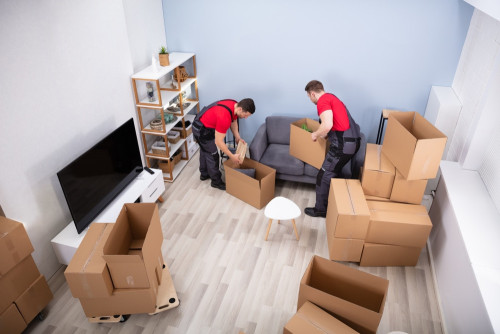 Best Bet Movers is a leading moving company dedicated to providing exceptional relocation services. With a focus on professionalism, reliability, and customer satisfaction, we offer tailored solutions for local and long-distance moves, as well as commercial relocations. Our team of skilled professionals ensures a stress-free moving experience, handling every aspect of the process with care and precision. Read more:https://bestbetmovers.com.