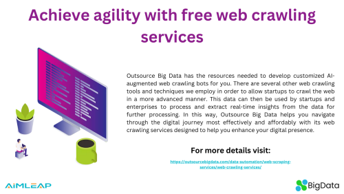 Efficient Web Crawling Services from OutsourceBigdata