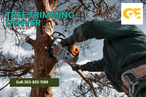 Enhance the vitality of your landscape with our expert tree trimming services. Promote tree health and maintain a thriving, picturesque environment.

Contact us for Tree Trimming Denver
Phone: 303-922-7199

For more info visit:
https://guaranteedexcellence.com/services/tree-planting-care/