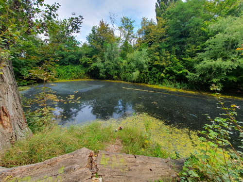 Schönebeck