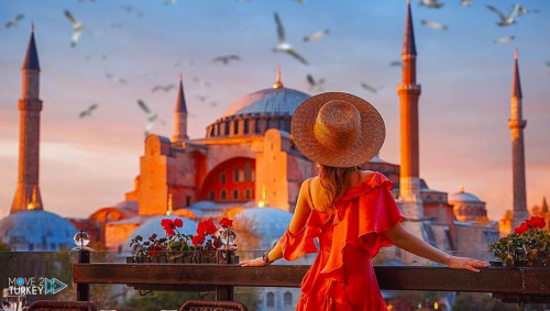 Rezbook Global DMC offer affordable turkey travel packages that cover all the major attractions in Turkey, including historical sites, natural wonders, and cultural experiences. Euphrates Tours is also a great option, with a focus on providing sustainable and responsible tourism experiences. To contact now at https://rezbookglobal.com/destination/Turkey