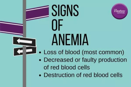 Know how anemia and fibroid are related and effective treatments for anemia caused by fibroids in our latest blog post. Learn how USA Fibroid Centers can help alleviate your symptoms and improve your quality of life. Visit our blog now!

https://www.usafibroidcenters.com/blog/treat-anemia-caused-fibroids/