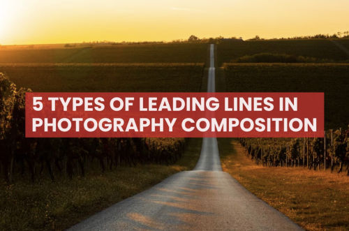 https://pps.innovatureinc.com/leading-lines-in-photography-composition/