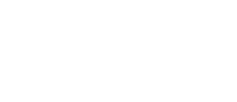 Car Chase