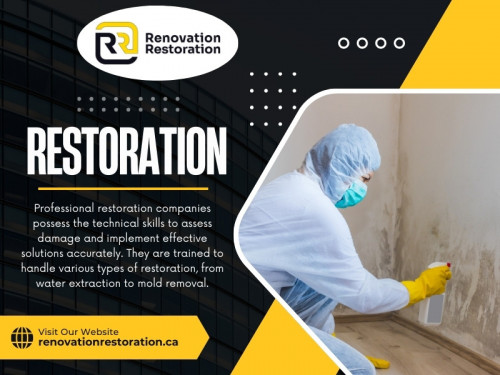 When disaster strikes—whether water damage from a flood, fire damage, or mold creeping into your home—getting things back to normal can be overwhelming. You may be tempted to handle the restoration in times like these. 

Official Website: https://renovationrestoration.ca

Contact : Renovation Restoration Inc
Telephone: 416-904-3131
Address: 3080 Yonge St, Toronto, ON M4N 3N1

Find Us On Google Map: https://maps.app.goo.gl/FdepGhGHiVyqRbRQA

Our Profile: https://gifyu.com/lobbyrenovation
More Images: https://tinyurl.com/24uluman
https://tinyurl.com/2awclplj
https://tinyurl.com/2c7hpet4
https://tinyurl.com/25jygsat