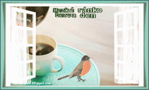 rano93fdc59a3ea5c047.gif