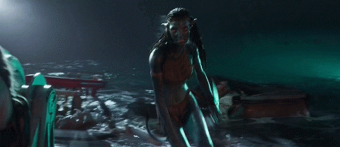 release.gif