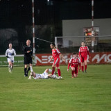 steyr-lask_c_0-4_18-03-2022_34