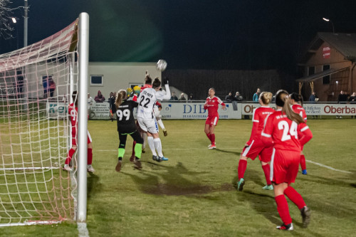 steyr-lask_c_0-4_18-03-2022_90.jpg