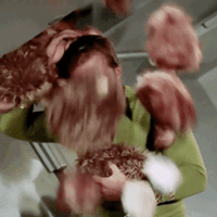 tribbles.gif
